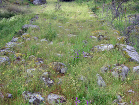 Calzada Romana